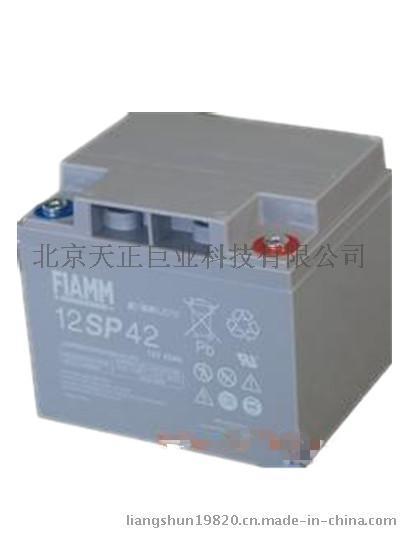 非凡閥控式密閉免維護蓄電池12SP42/12V42AH 20HR--點擊瀏覽大圖